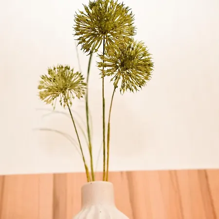 Strandkoje Appartamento